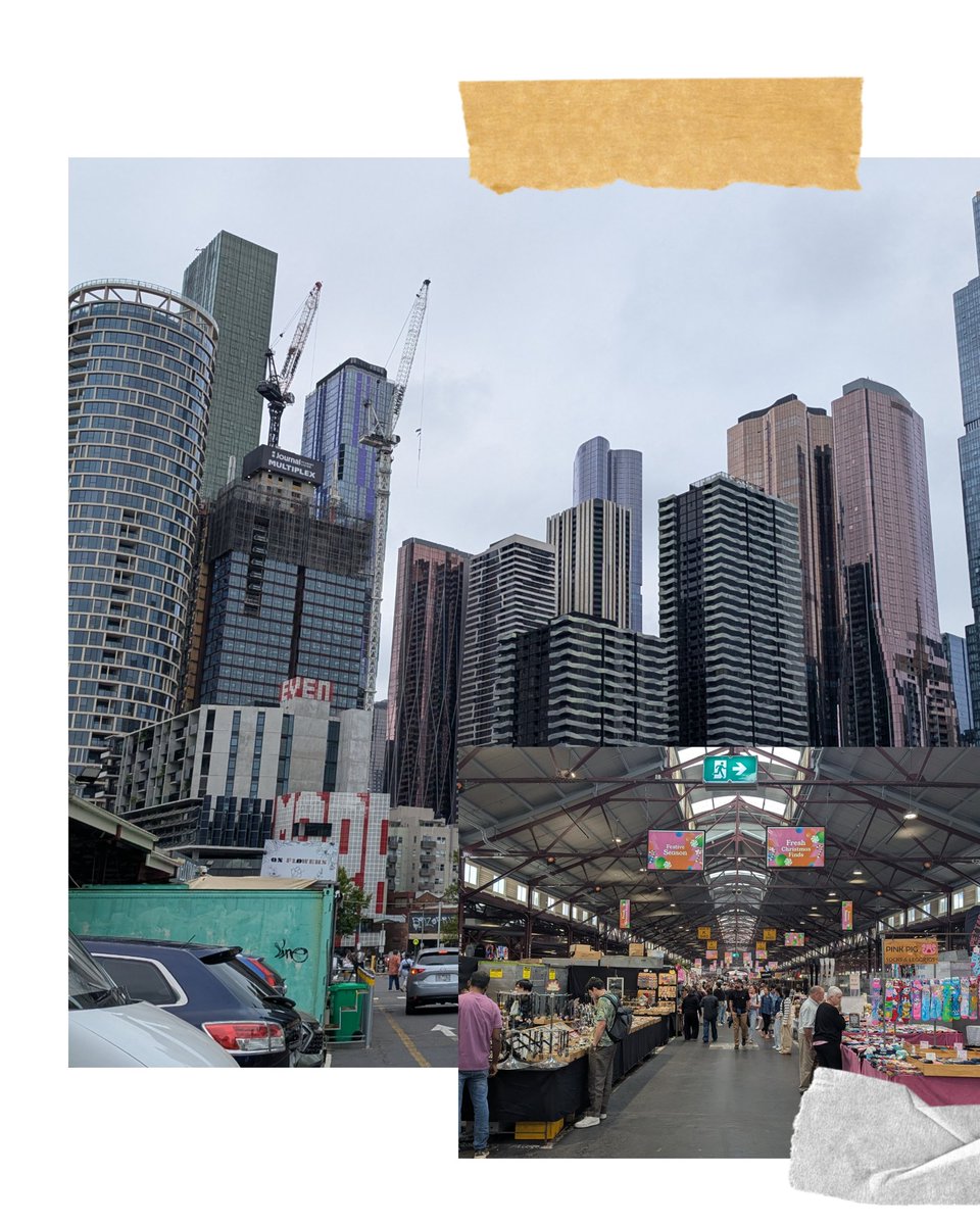 Cat 🐾 tweet media