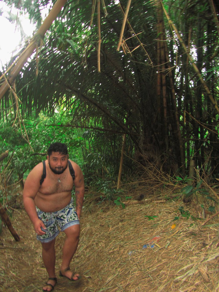 Somewhere between the trees, I loosened my grip and learned how to breathe. 🍃