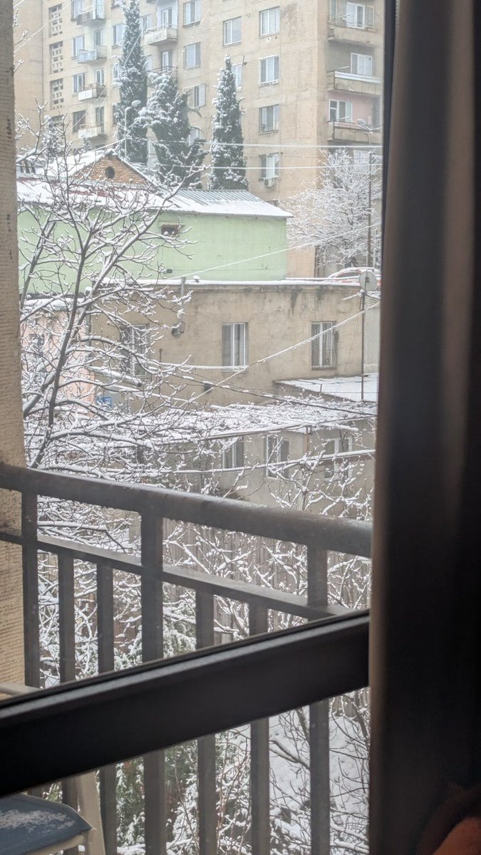 MsMariaSnape's tweet image. новостная сводка Тбилиси сегодня.