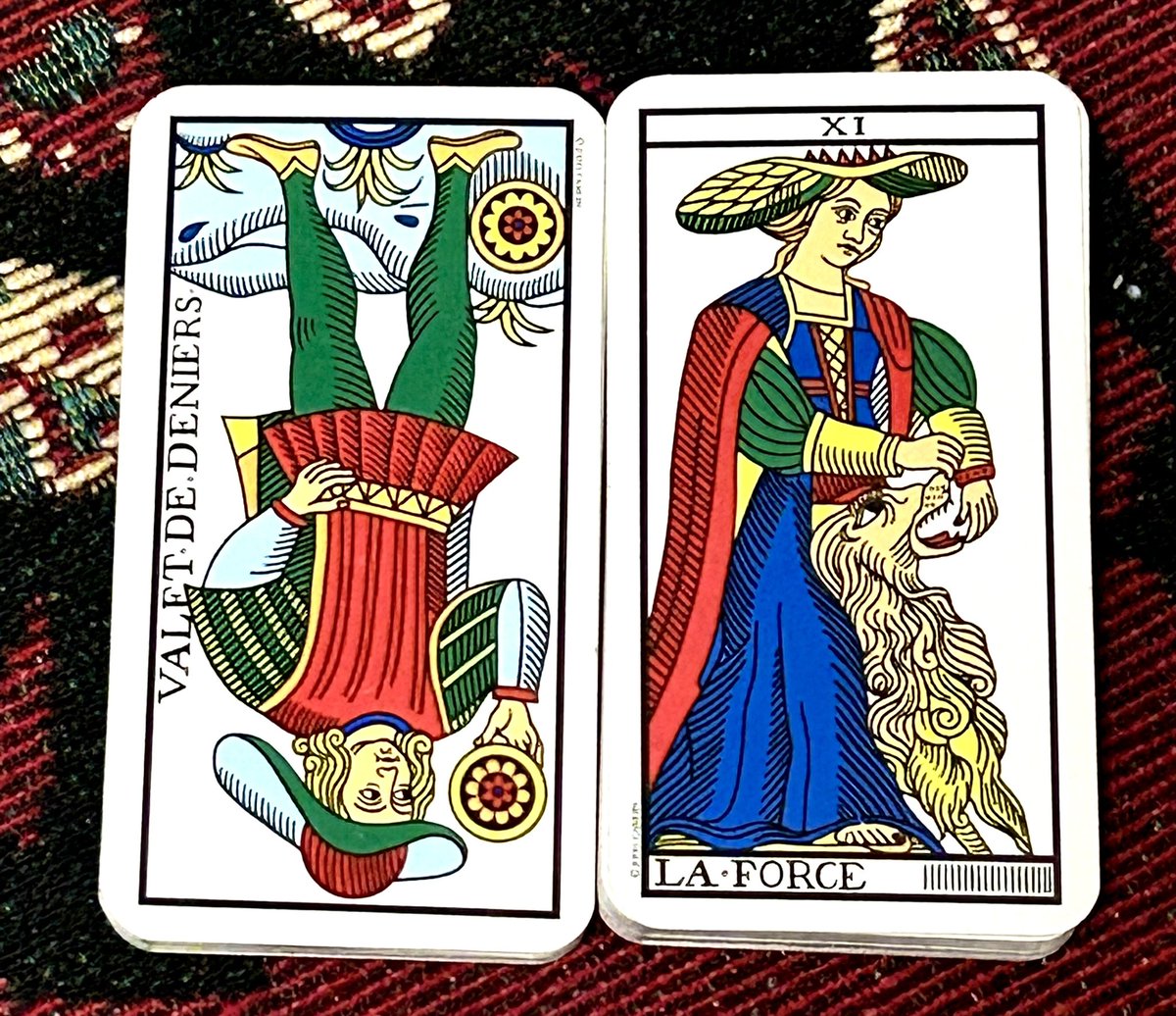 玉木宏さん 千秋先輩ですよね？w コインのペイジ逆位置❎力正位置 タロットカードに詳しい人は、 ツッコミくださいw 柔術大会で銅メダル獲得ですってよw  つか、 2歳ちがいか。。。 僕も筋トレから頑張ろ😤 旅巡りカモワンタロット 👻神楽先輩の独り言カード