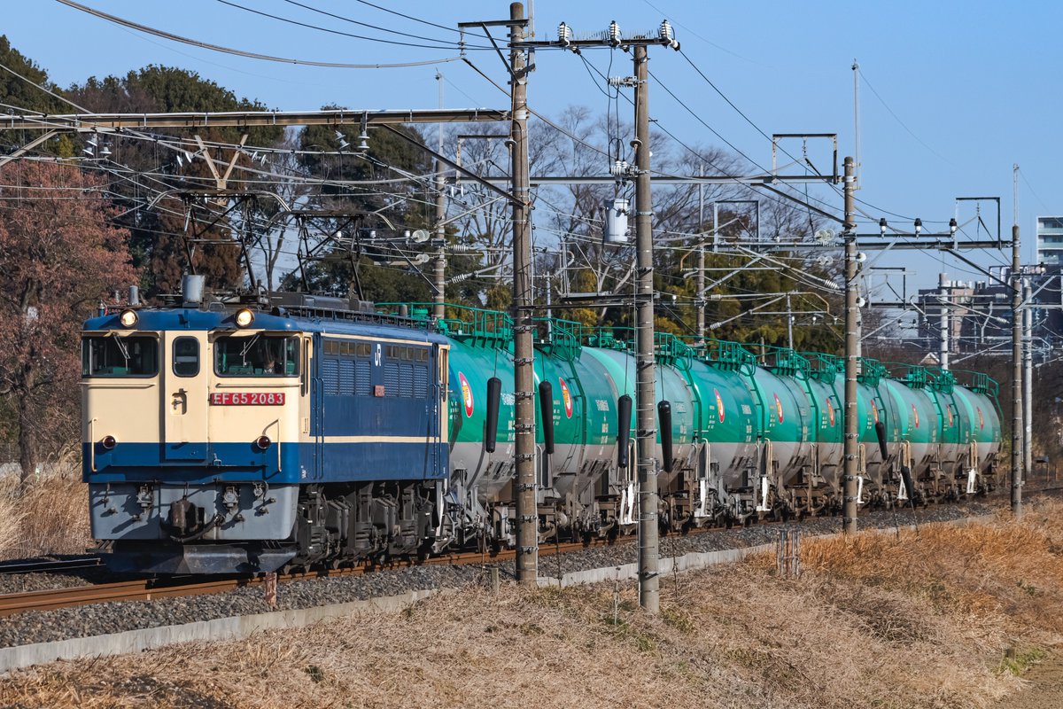 南ツソ (@x2qjf) / Posts / X