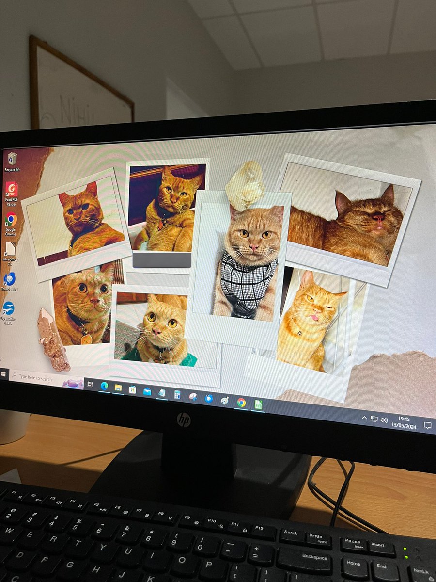 saveentin's tweet image. adek bungsuku.