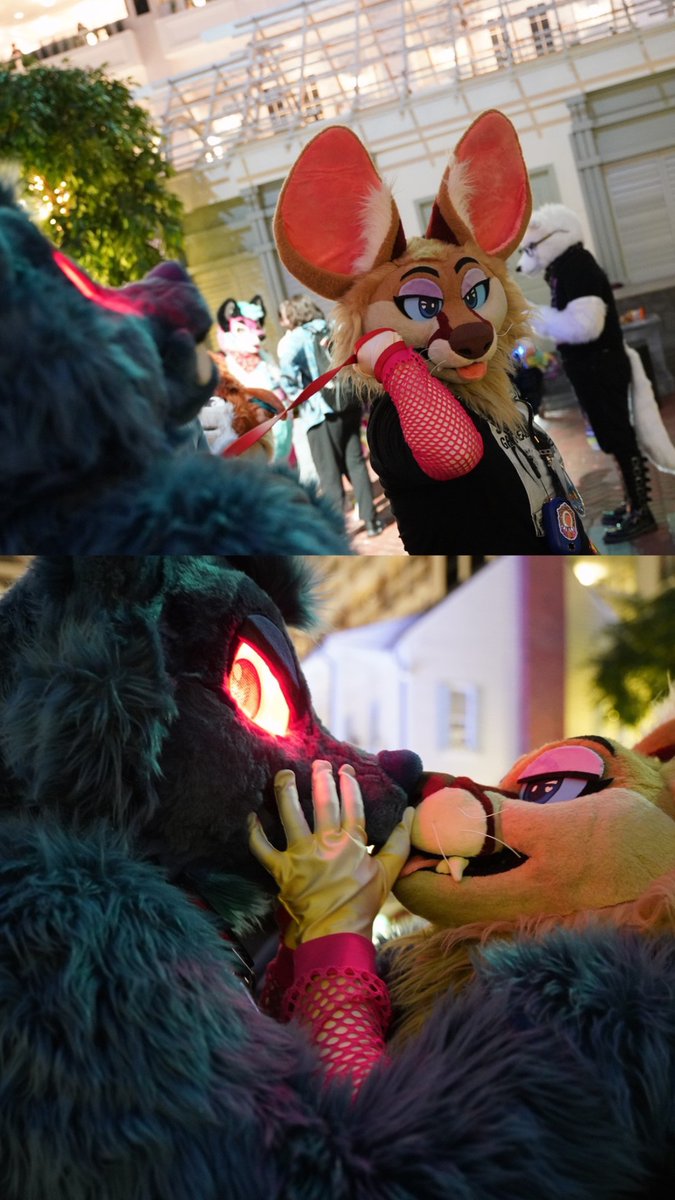 pike/fen ⋆˙⟡ fwa/fd tweet media