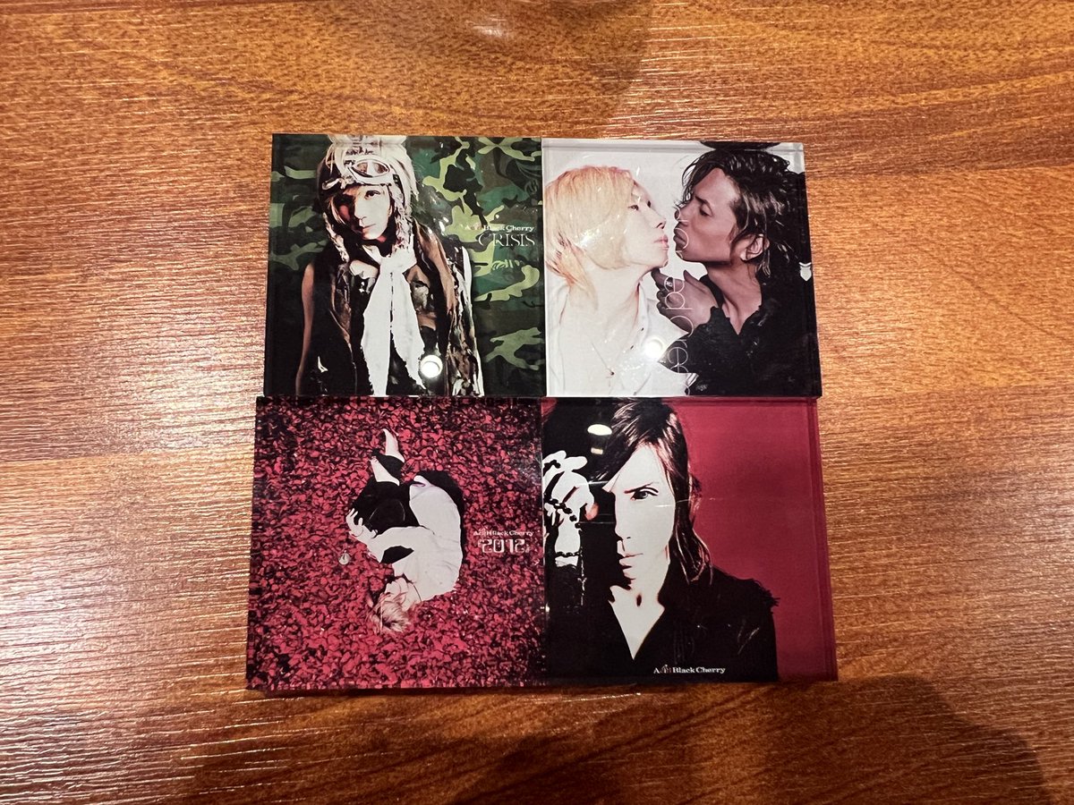 s*r様 Acid Black Cherry マグネット　眠り姫 s*r様 Acid Black Cherry マグネット 眠り姫 Acid Black Cherry/眠り姫 |