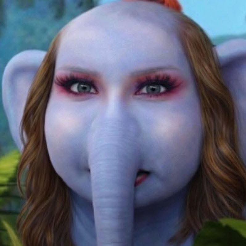 กำเนิดมีมใหม่