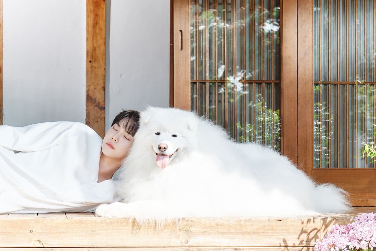 ONLYJAEDO1401's tweet image. 햇살수 강쥐 조합은 늘 옳지