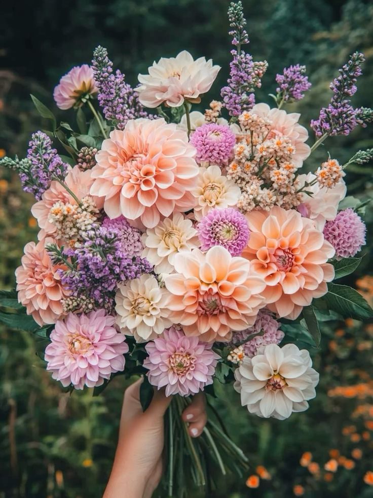 ____flowers__'s tweet photo. Flower 💐 https://t.co/ogCx9Sz94X
