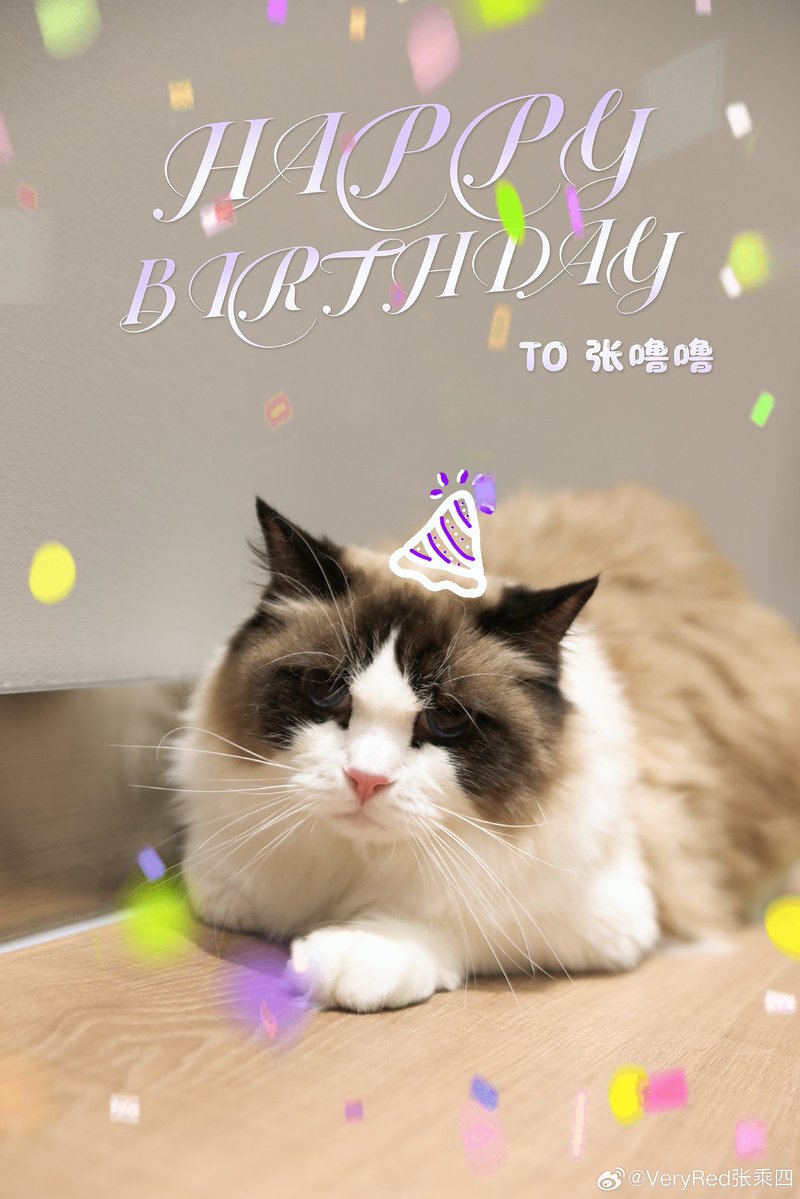 Happy 6th birthday Zhang Lulu 🐾 260118