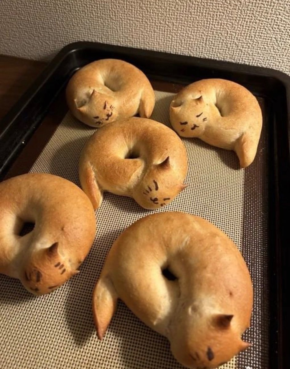 catshealdeprsn's tweet image. 