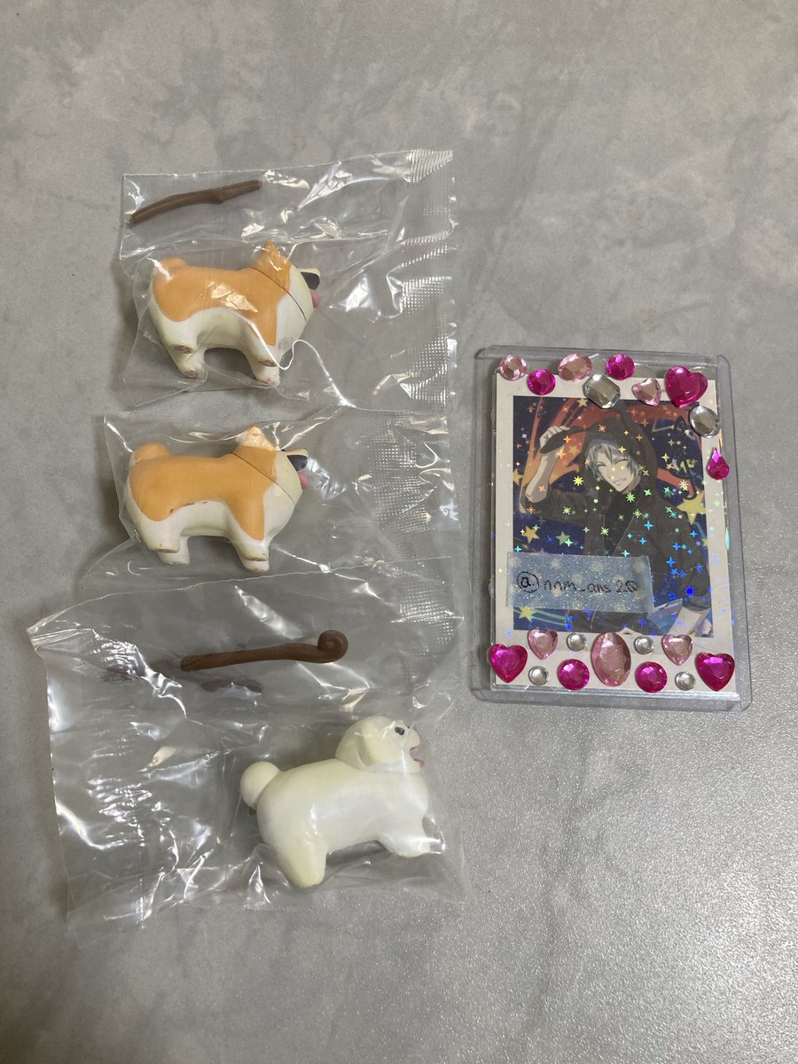 nnm_ans20's tweet photo. 【交換】
いい感じの棒をゲットした犬

譲▶︎柴犬✖️2．ペキニーズ✖️1
※柴犬1体は初期傷あり

求▶︎コーギー

郵送交換希望です📮
お気軽にお声掛けください🙇‍♀️ https://t.co/wSvlNQov3v