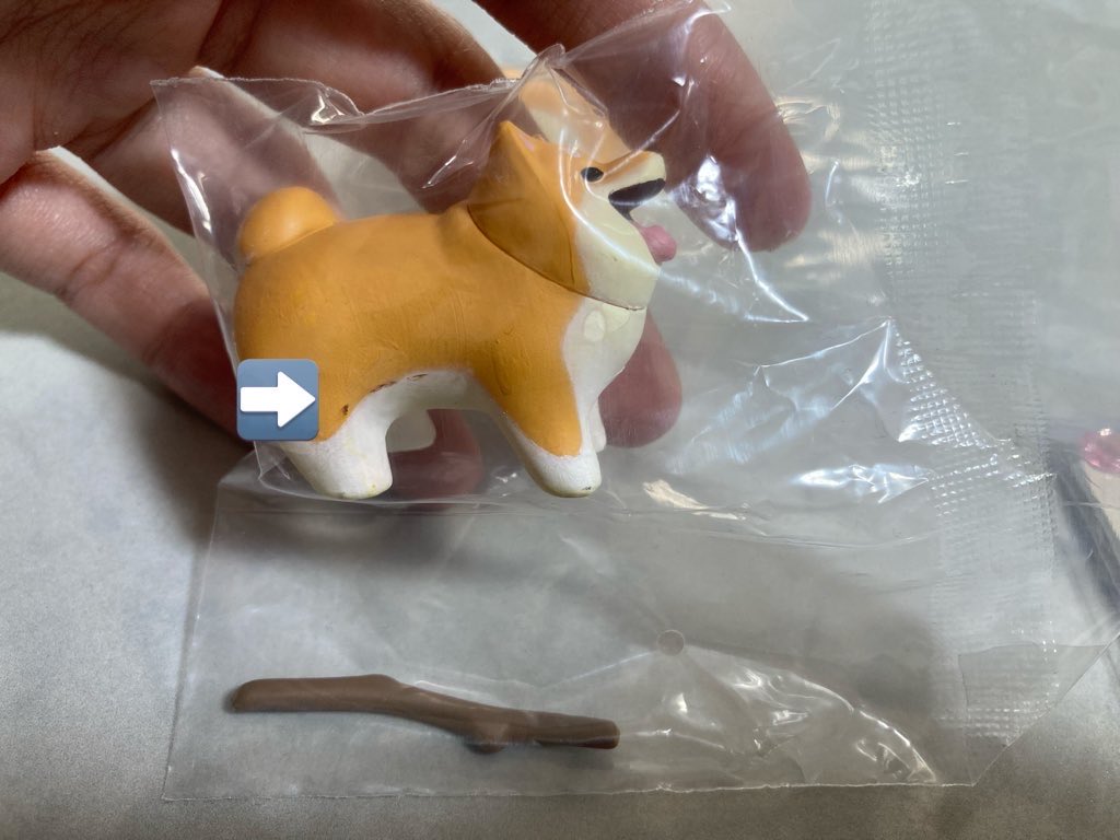nnm_ans20's tweet photo. 【交換】
いい感じの棒をゲットした犬

譲▶︎柴犬✖️2．ペキニーズ✖️1
※柴犬1体は初期傷あり

求▶︎コーギー

郵送交換希望です📮
お気軽にお声掛けください🙇‍♀️ https://t.co/wSvlNQov3v