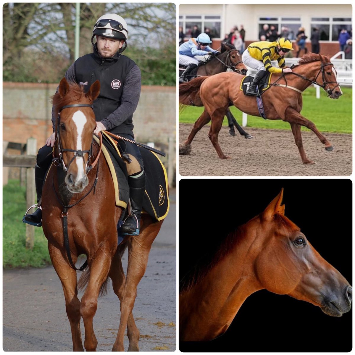 Hollie Watts tweet media