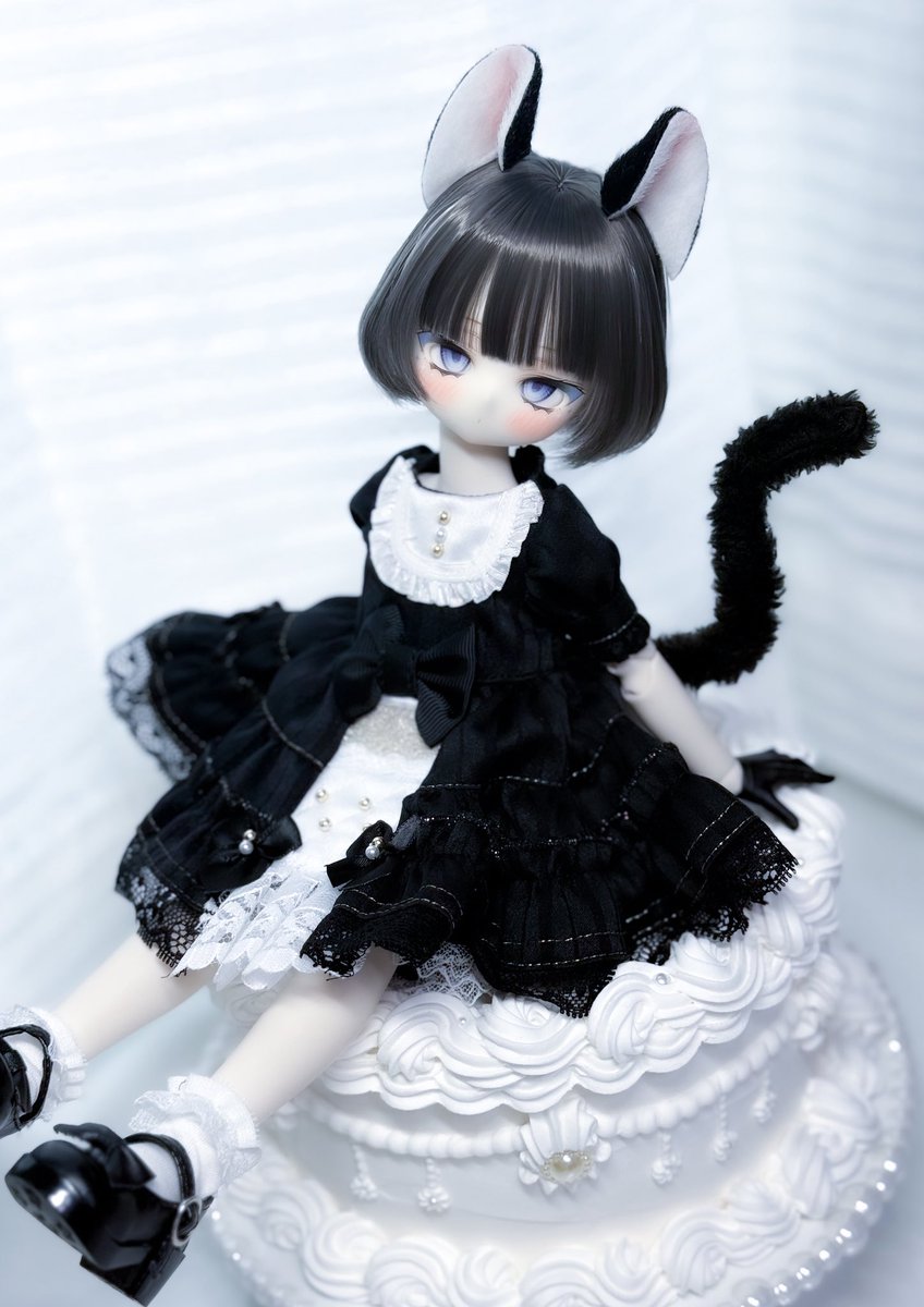 お嬢さまねこちゃん🐈‍⬛