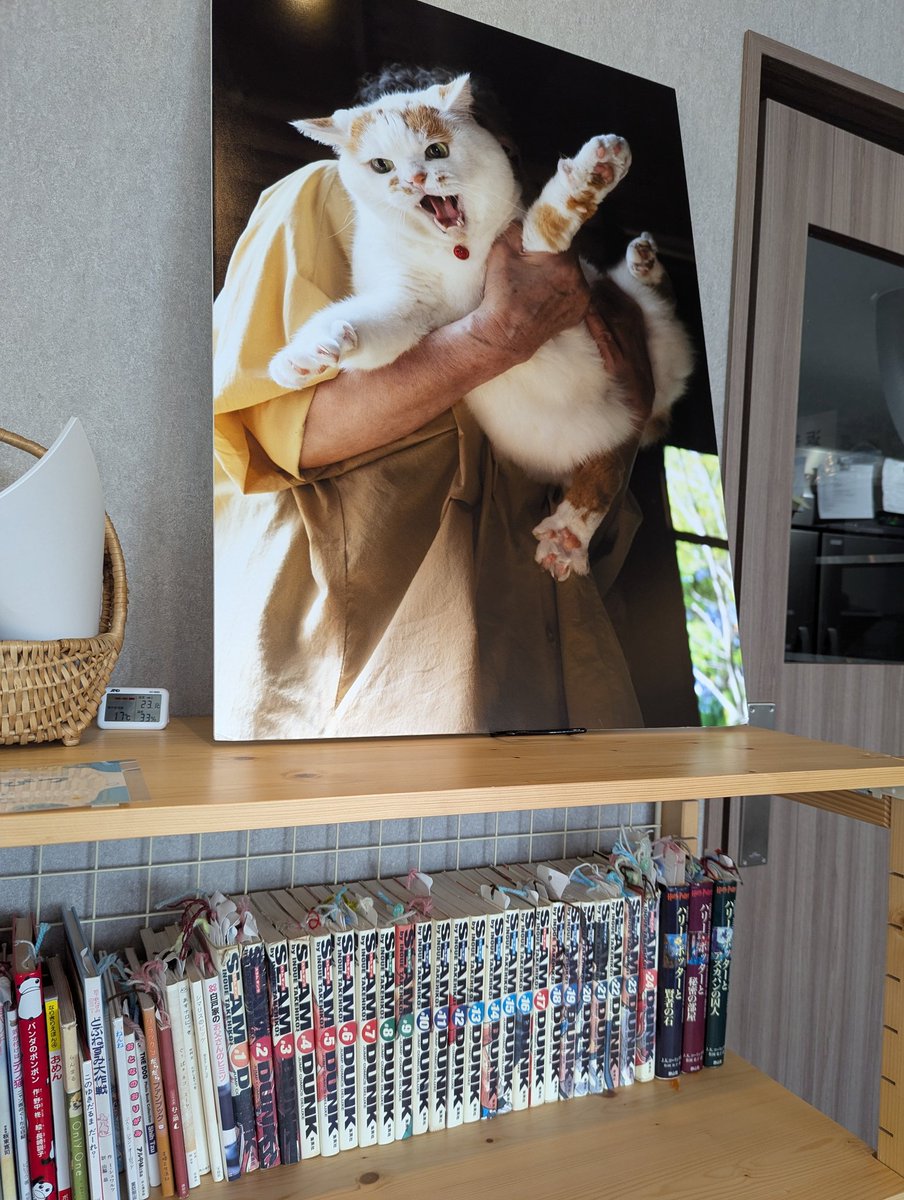 MARCO 🟡写真集「メイ先輩」🟡 (@marco74444) / Posts / X