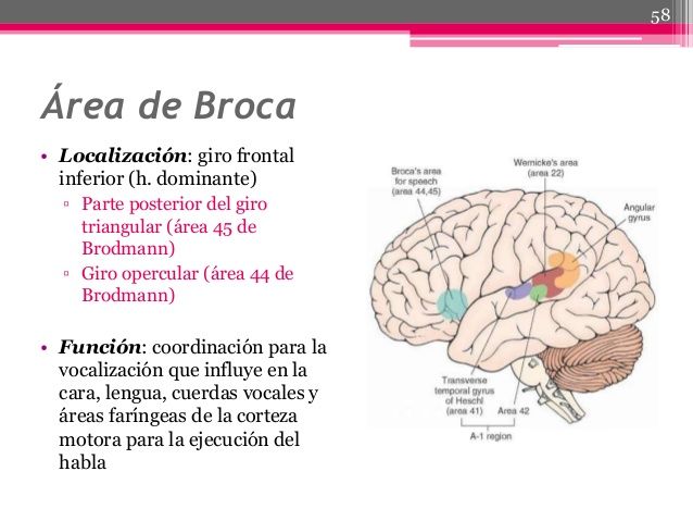 Amaki 🕵🏻♂️🐢 tweet media