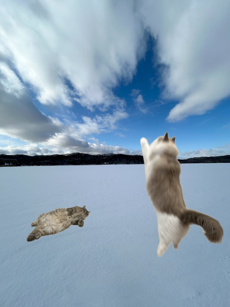 わたあめ (@wataamedetyuyo) / Posts / X