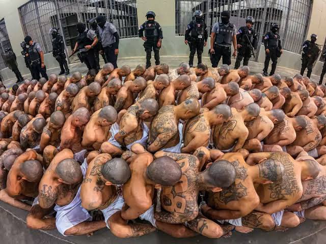 KitAjans's tweet photo. El Salvador Devlet Başkanı Nayib Bukele: "Suçu eğitim ve imkan sağlamakla çözemezsiniz. Suçlular yalnızca güç kullanılarak durdurulabilir."

NOT: El Salvador’da cinayet oranı 100.000'de 100 seviyelerindeyken, devletin 2022 yılında başlattığı geniş çaplı operasyonlar ve ağır cezalar sonrası  bu oran 100.000'de 1 seviyelerine kadar geriledi.