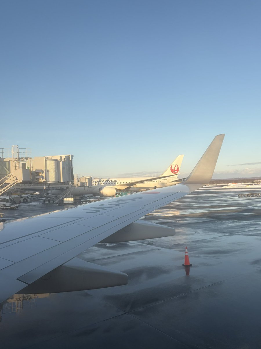 大阪に帰ります〜✈️