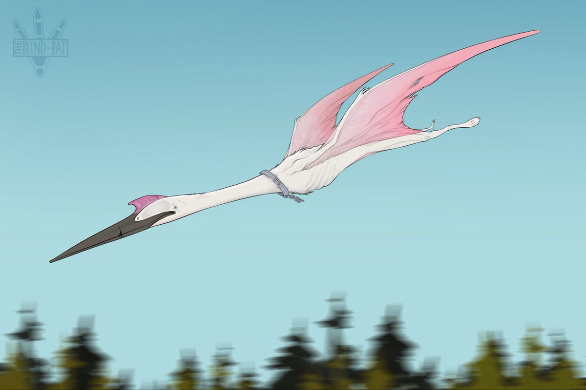 TheBatsArt's tweet photo. Powder is still alive! Gaining muscle with every flight. Where will he find himself along his adventures ahead?
#quetz #plaeoart #digitalart https://t.co/aFinLDH7OY