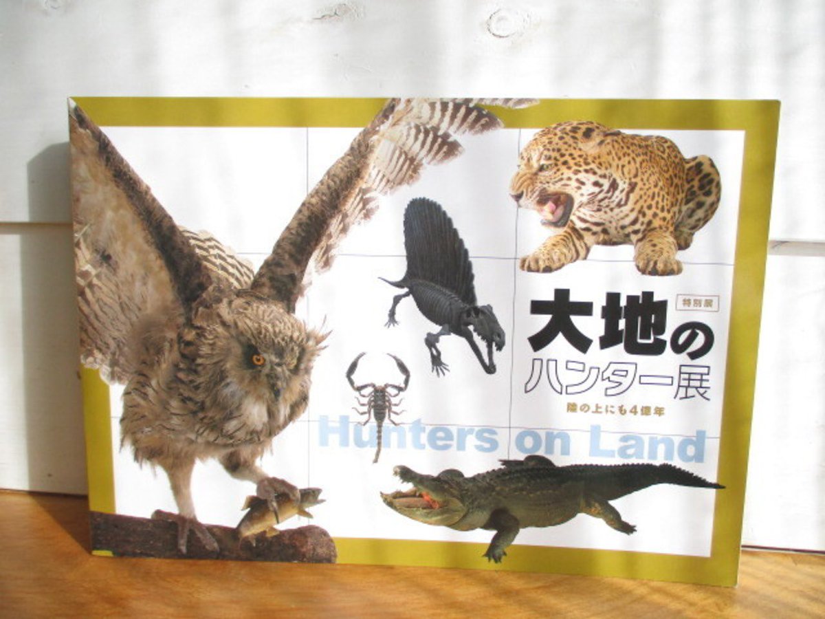 新しいタイトルをアップしました。 okutamabunko.official.ec

◾︎またたび／菊池 亜希子 (著)
◾︎チリンのすず／やなせたかし
◾︎サン＝テグジュペリの星の王子さま展
◾︎特別展 大地のハンター展 陸の上にも4億年