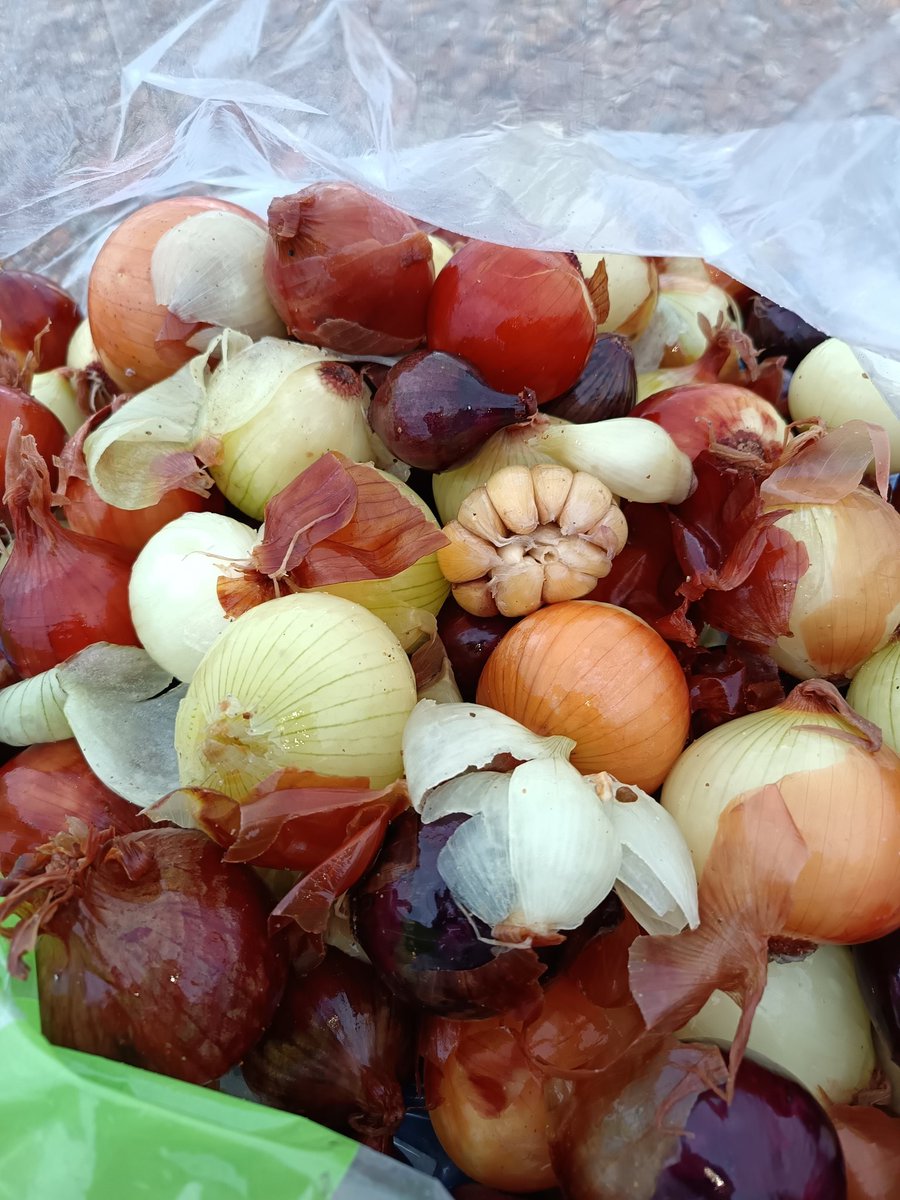 Litter Kickers tweet media