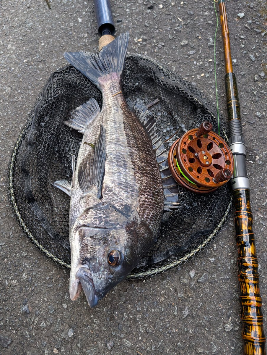 マコト(おやすみ(-_-)zzz) (@045mk5) / Posts / X