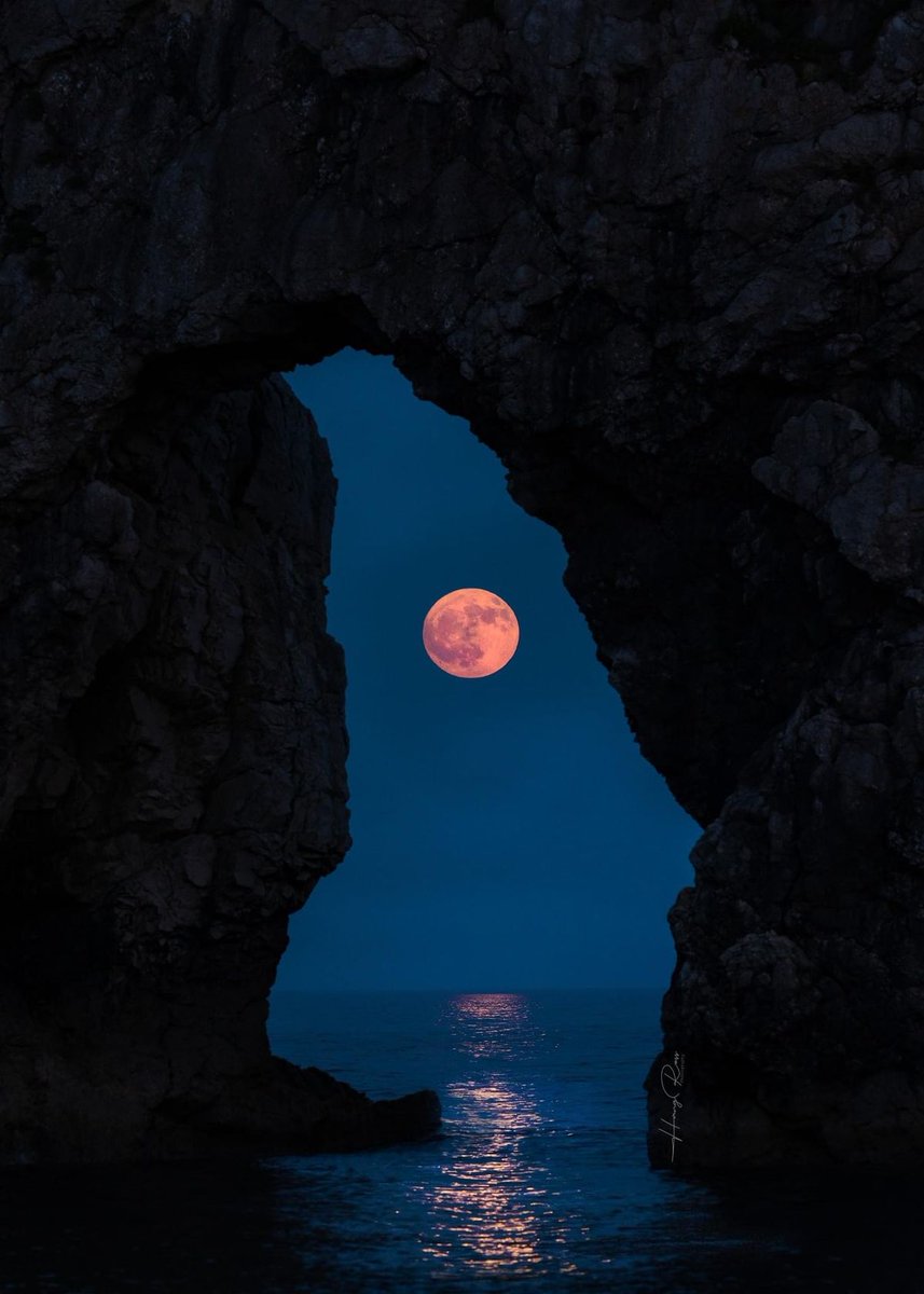 DailyMoonX's tweet photo. https://t.co/fYccRmSwBV