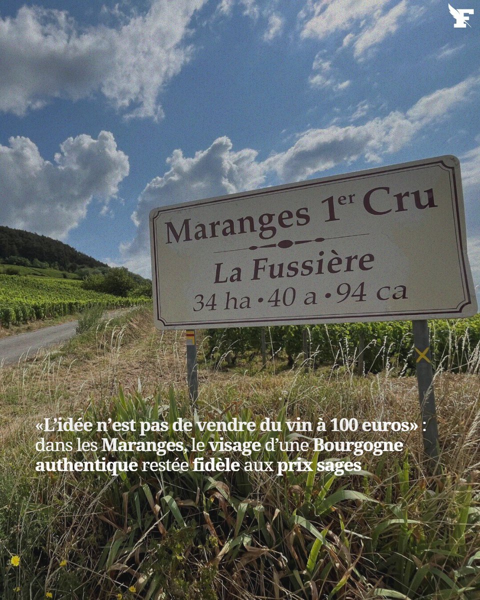 lefigarovin's tweet photo. Les trois villages qui forment cette discrète appellation du sud de la Côte-de-Beaune accueillent la Saint-Vincent les 24 et 25 janvier. L’occasion de mettre en avant les avantages que les vignerons des Maranges ont à faire valoir.

Par William Plummer

👉https://t.co/HSj8wDxsHB https://t.co/BGeRhVYrEu