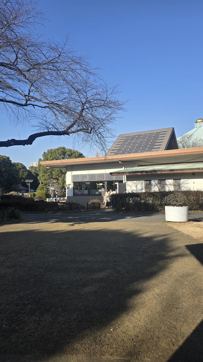 ま tweet media