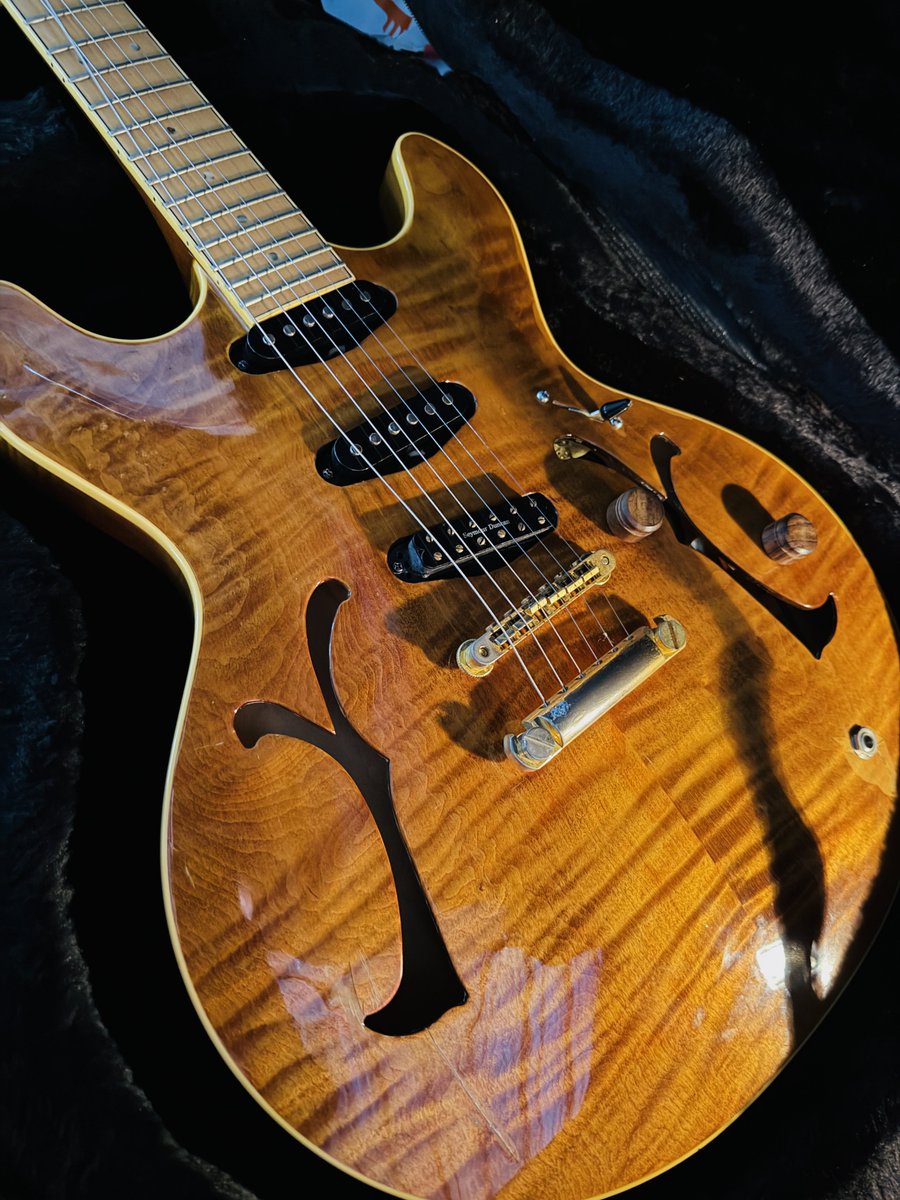 ど変態セミアコを見つけました。 スルーは無理でした