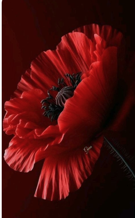 Born this day 18th.Jan.1921.

Sgt. Denis Charles Peacock.
One of THE FEW.
bbm.org.uk/airmen/Peacock…

His death certificate recorded 'Died of a gunshot wound to the brain' but the circumstances are currently unknown.
Peacock is buried in Stanton Cemetery, Hartlepool, Durham.