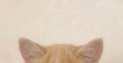 anleensbs's tweet image. meow meow 🐱 

#JUHOON #주훈