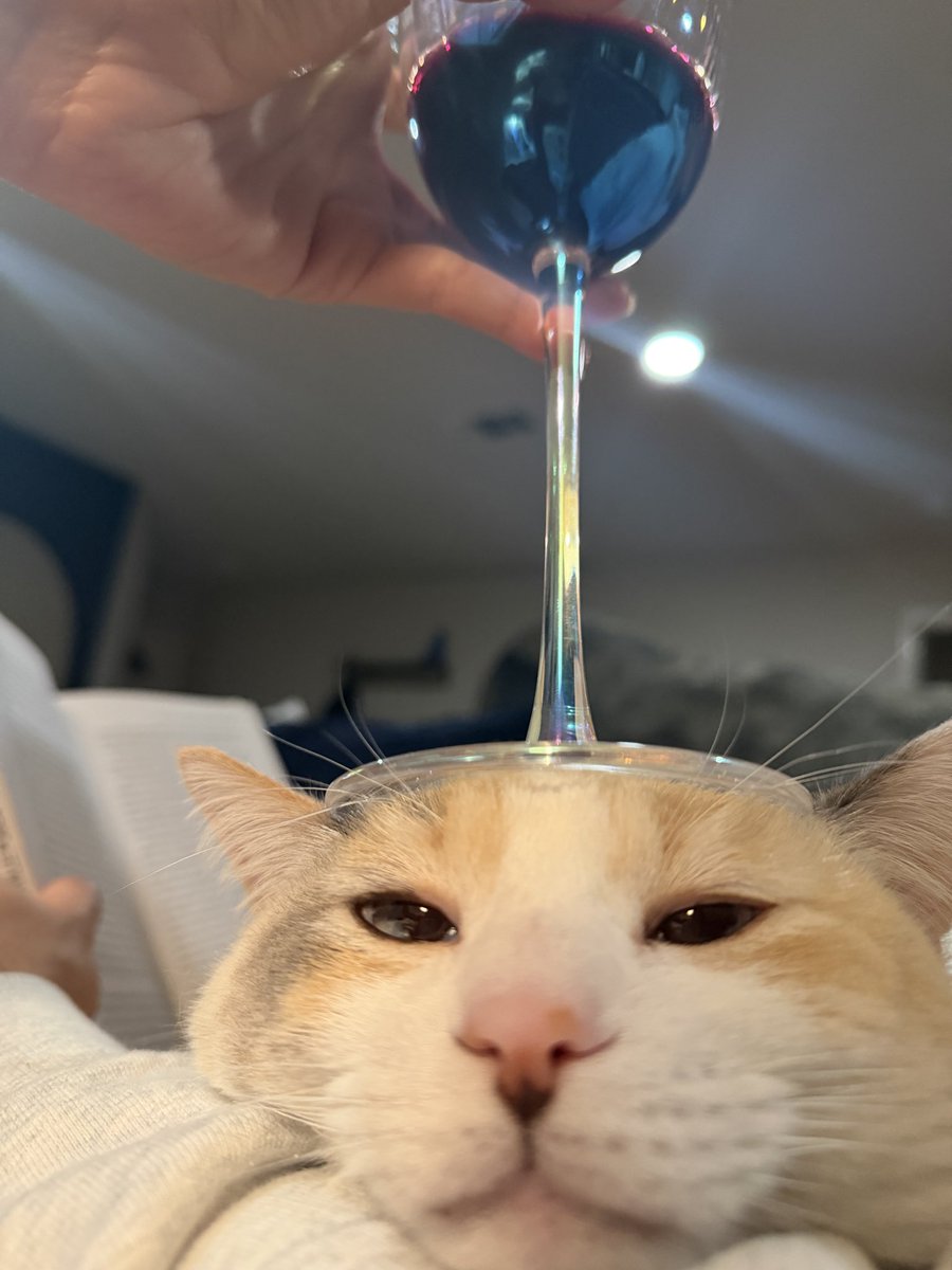 fatfatpankocat's tweet image. Very wild Saturday night in our 20’s