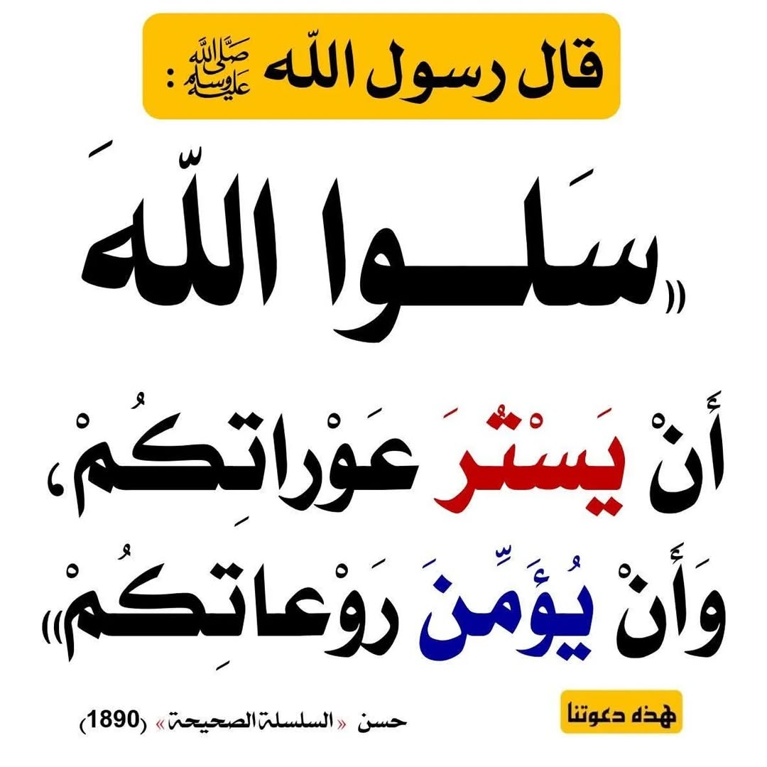 shith63's tweet image. 