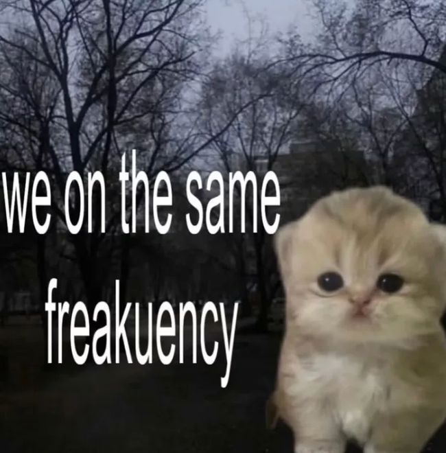 Insane Content (@onlineinsane) on Twitter photo 