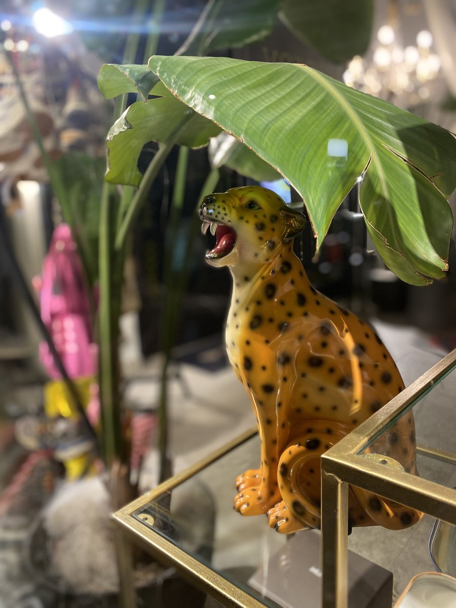 Sonia Zuccaro tweet media