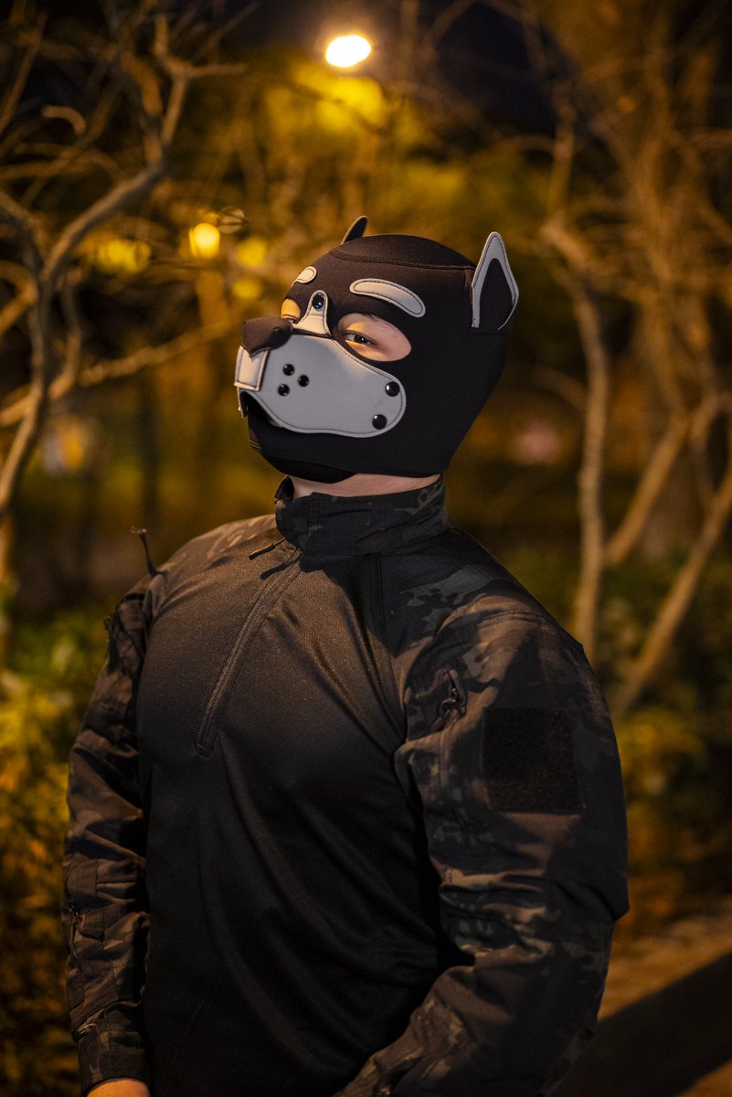 smrbuku's tweet photo. 喜欢制服狗狗还是胶衣主人
超会拍的老师📸： @IgniteAshes https://t.co/r1aDyT8aBP