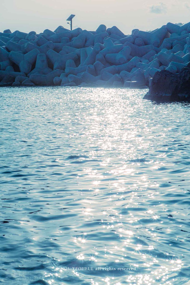 1년간 다닌 바다

강릉
-강문
-송정
-안목
-등명
-고성목
-정동진
-목호항
-삼척
-속초
-양양

충남
-천리포
-만리포

여수
-오동항

경주
-오류고아라

부산
-광안리
-해운대
-송정
-송도
-영도
-다대포

제주
-김녕
-금능
-함덕
-세기알
-곽지
-이호테우
-협재
-사계
-표선
-광치기
-종달리