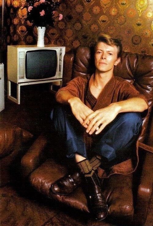 laura luzi tweet media