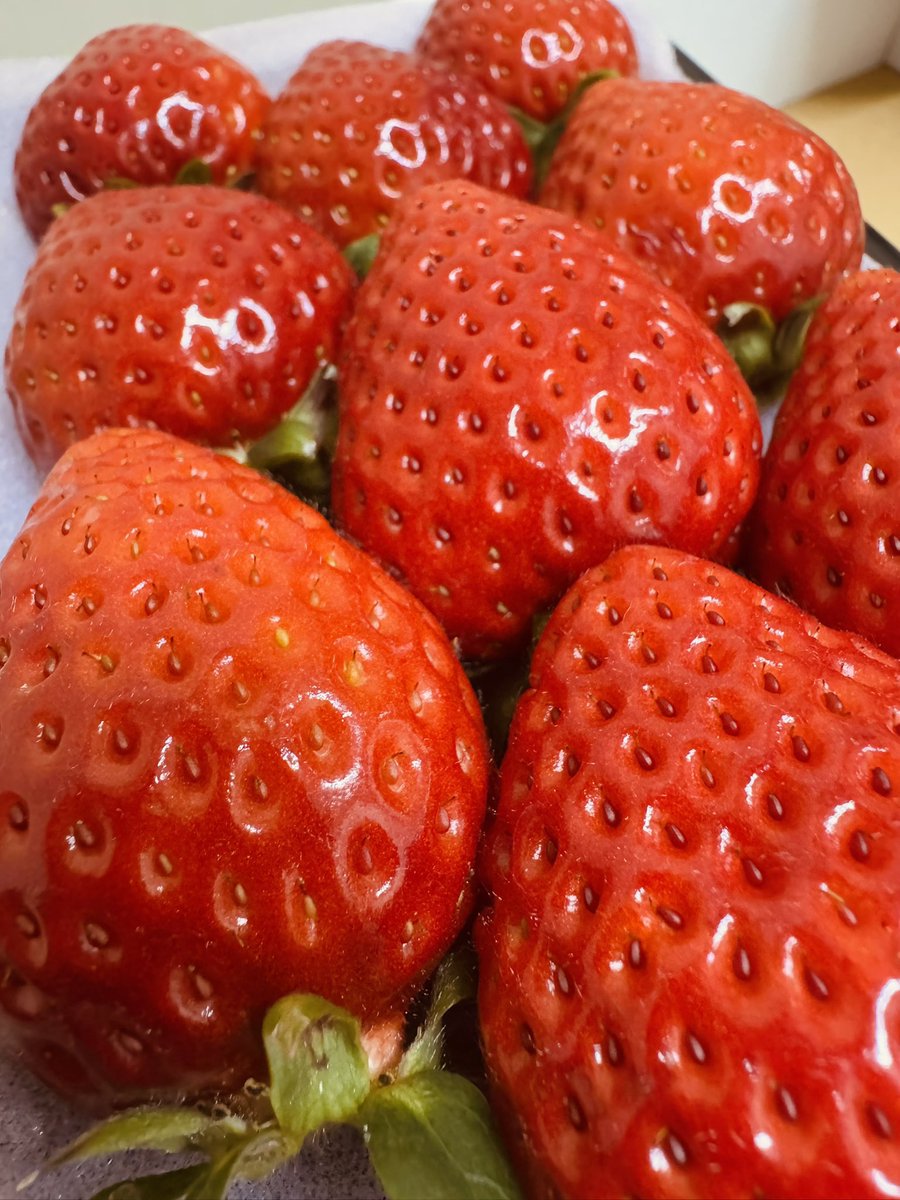 neko0v0hentai's tweet photo. 🍓あまりんプレゼント企画🍓

1名様限定！
僕たちのイベント広めてくれたら嬉しいなぁ…☺️含
1人でも多くの方に僕たちのことを知って欲しいです！

🍓参加条件🍓
僕をフォロー&amp;リポスト

🍓締め切り🍓
1月21日(水)10:00まで

#毎日の食卓にフルーツを
#毎日フルーツ200g
#フル愛食べ比べ会 https://t.co/5LEroYscaI