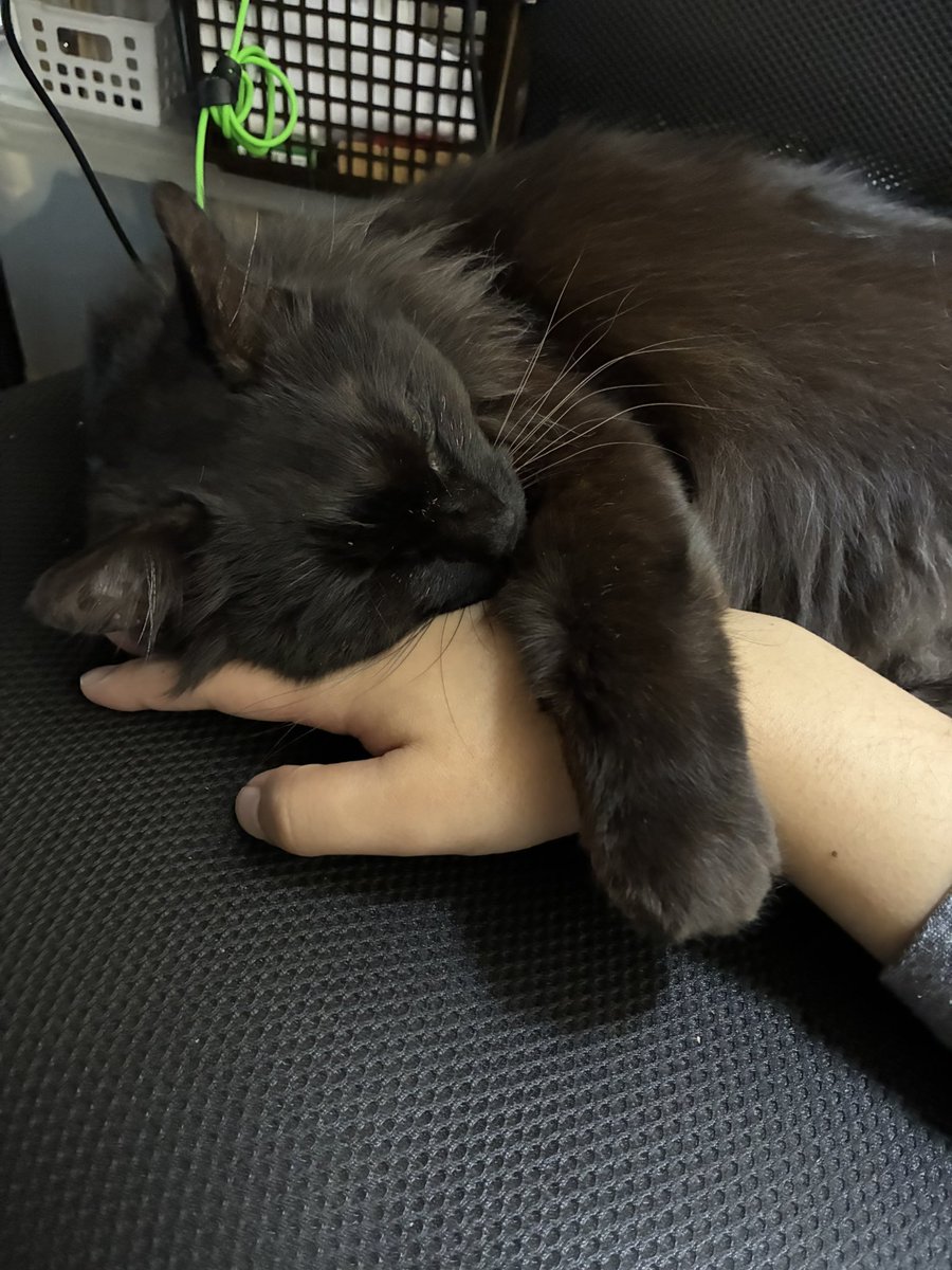 SUCOFY1's tweet image. ゲーム禁止