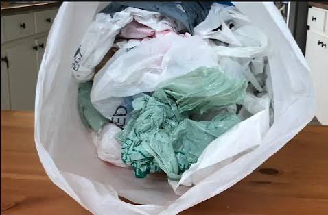 Neha Moolchandani tweet media