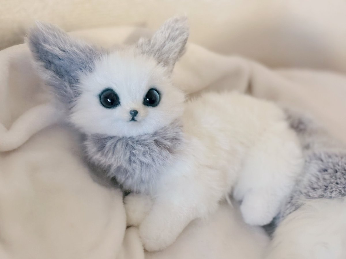 あにゃ@あにゃまるず (@macaronoxou) / Posts / X