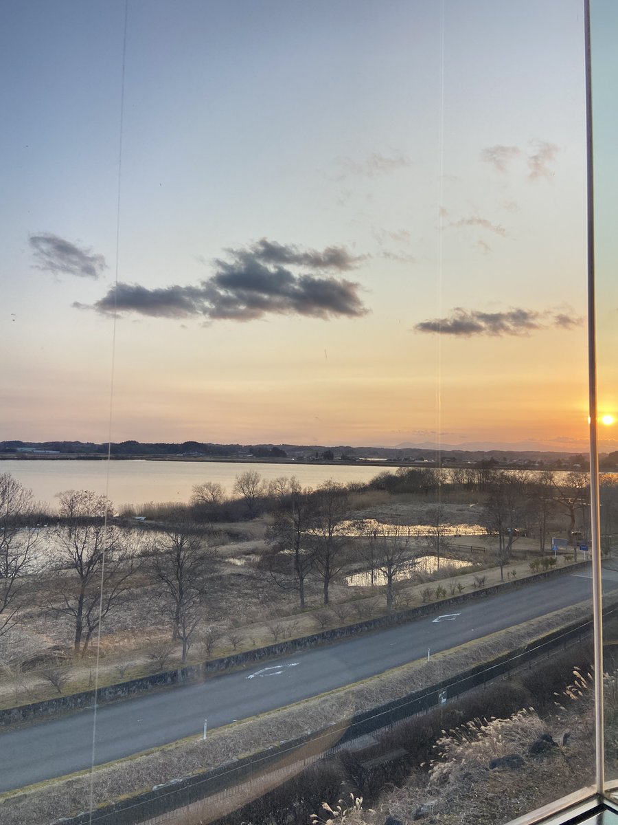 ちょっとお気に入りの場所に🦢𓈒𓏸