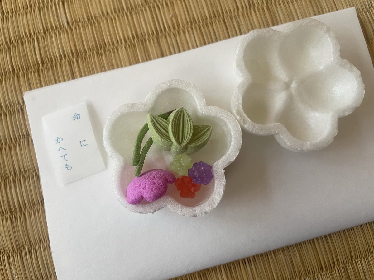 chiri_flight's tweet photo. 今日はとても穏やかないい天気の中お茶をいただく機会があったのですが、そこで引いたおみくじが…ちょっと…重いかな……

命 に か へ て も

なにをだろう…🍵 https://t.co/qL3HMkkiGL