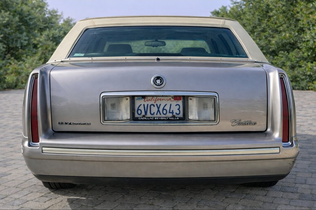 OtterDestruction 🦦🐟 tweet media