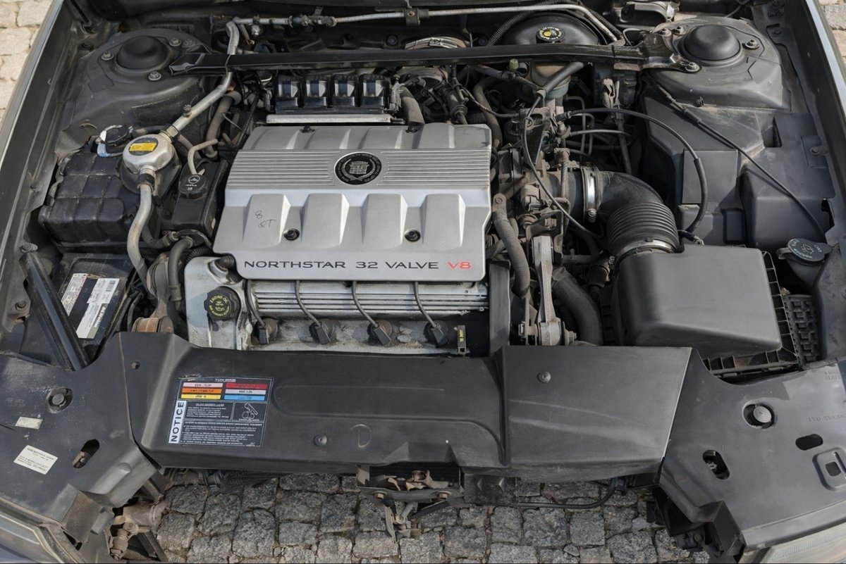 OtterDestruction 🦦🐟 tweet media