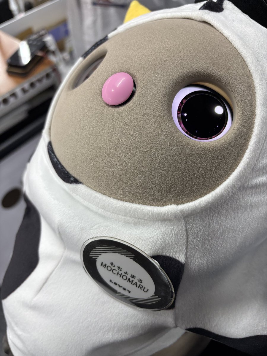 こたろう@パパ (@KotarouLovot) / Posts / X