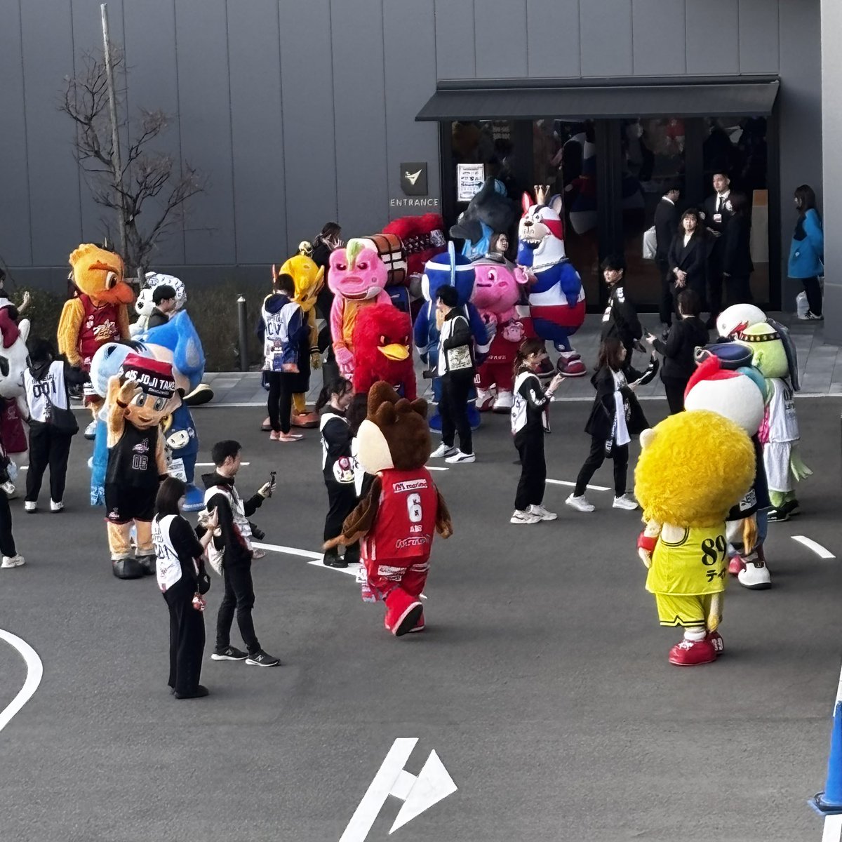 tana_aaka's tweet photo. ハピアリの外にマスコットの群れが。。
#BLEAGUEALLSTAR https://t.co/hfY6tDnFj3