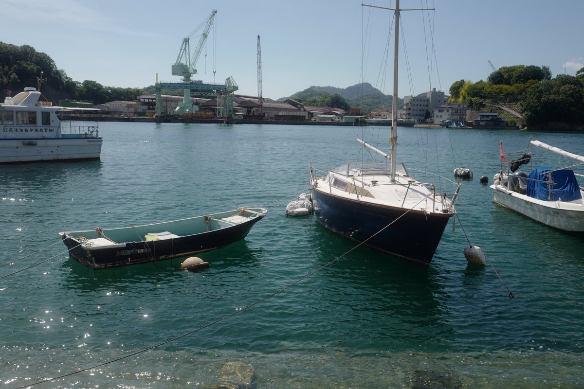 kemono72301's tweet image. キラキラした世界を見ても、
羨ましいと思わない。
かといって、
自分が置いてけぼりになってるとも思わない。
自分は自分だけの見たい世界を歩くんだ。
かなりゆっくりなペースだけれどもね。😶😶😶